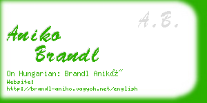 aniko brandl business card